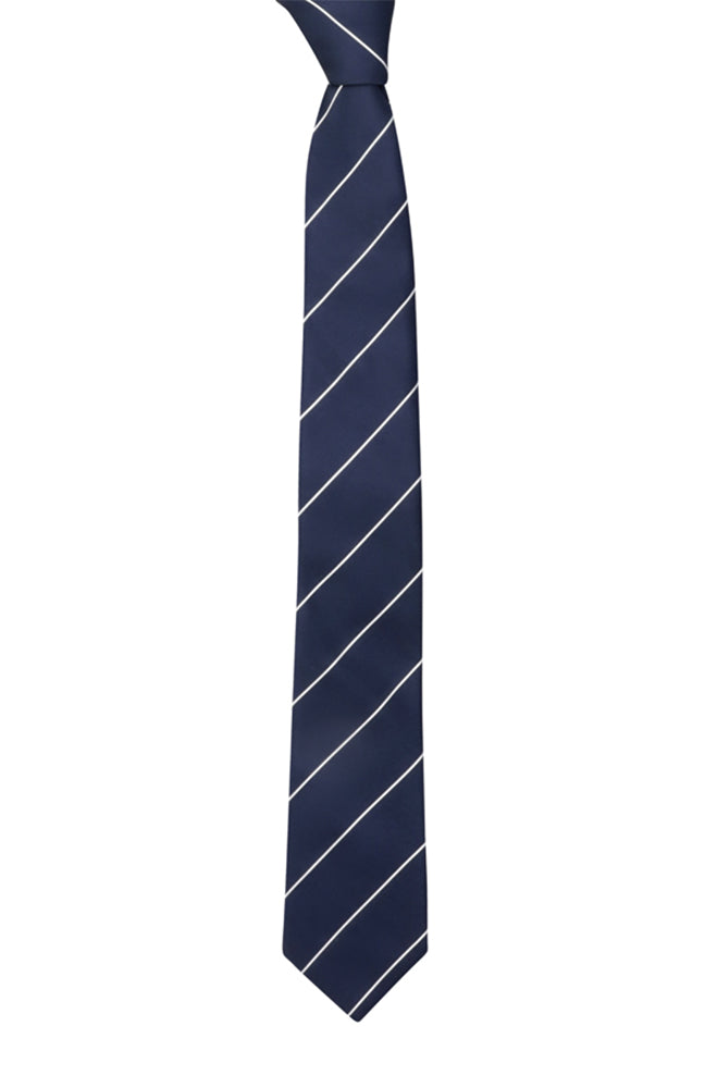 DAN TIE & LAPEL PIN - BLUE