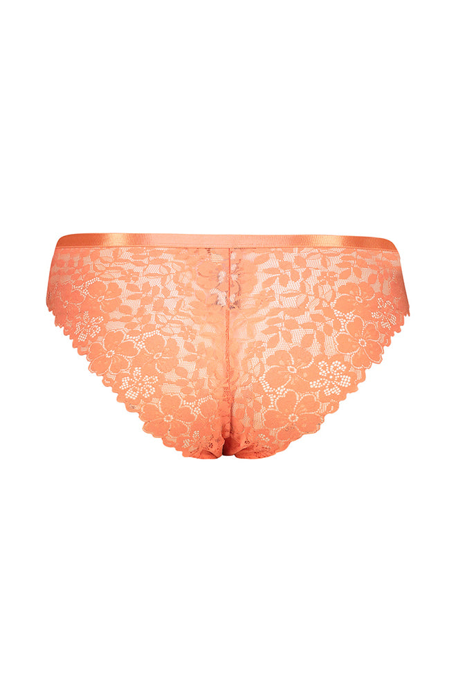 JOSIE ALLOVER LACE BRAZILIAN