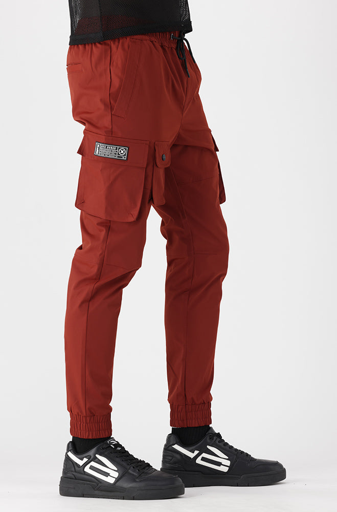 Dafred Utility Pant _ 154132 _ Brick