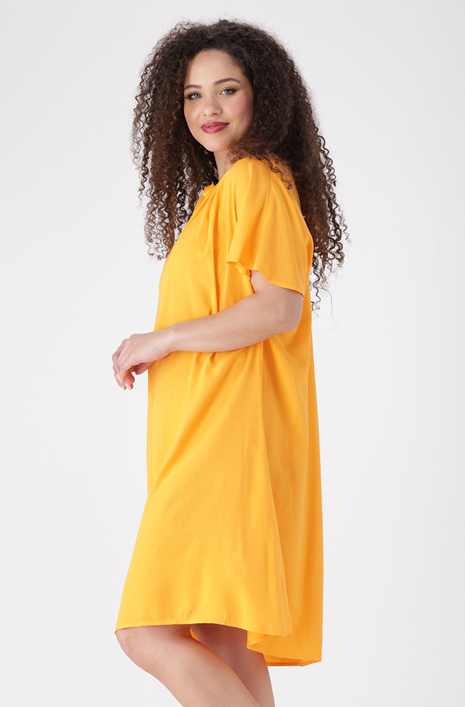 Carla Tie Neck Detail Dress _ 155345 _ Yellow