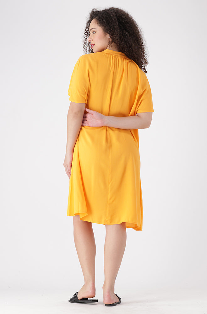 Carla Tie Neck Detail Dress _ 155345 _ Yellow