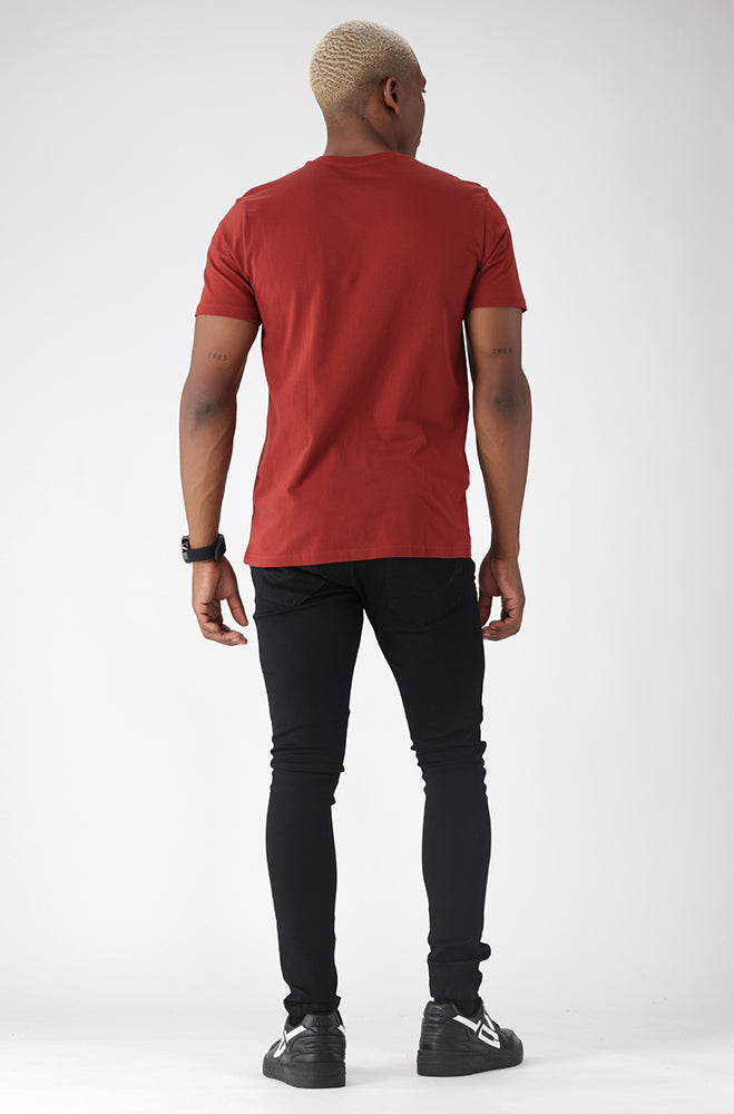 Alamo Tee _ 158650 _ Brick