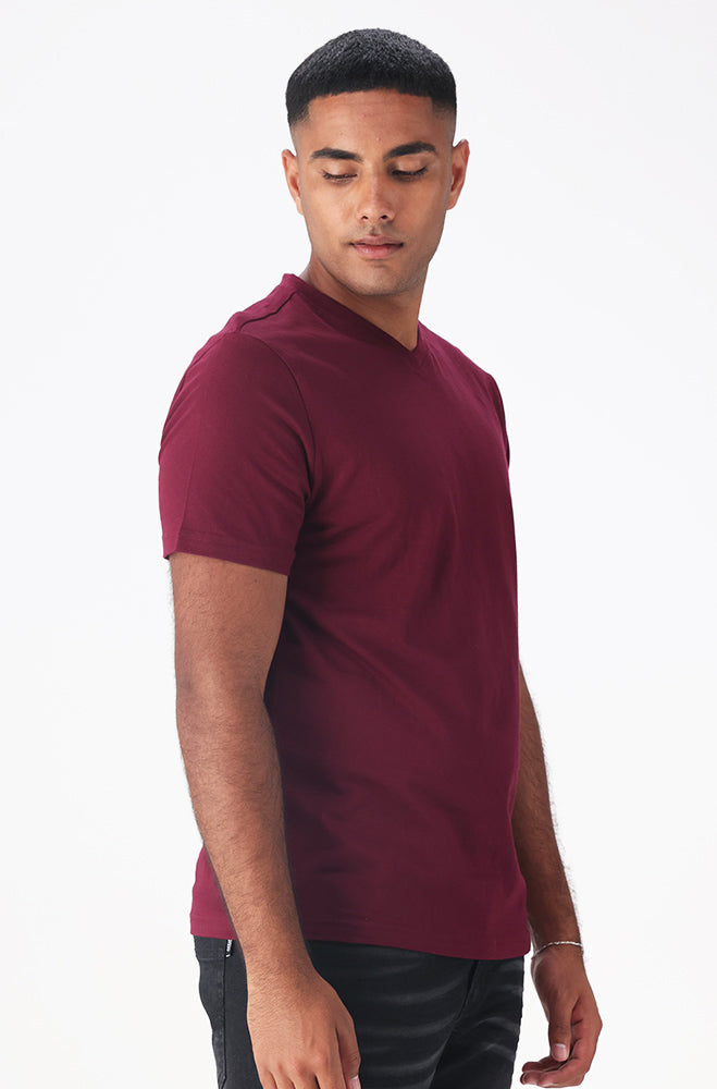 Alamo Tee _ 158679 _ Plum