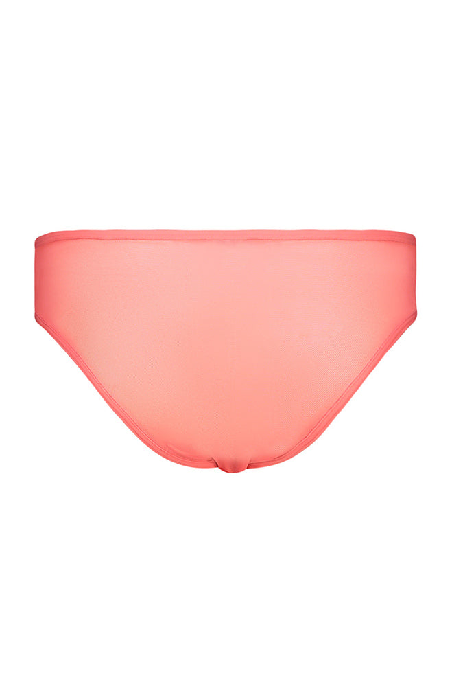 Willow Mesh/Lace Brazilian _ 159712 _ Coral