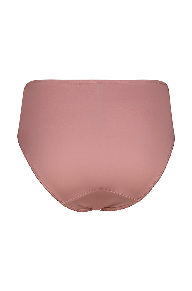 Jane Microfiber Bikini _ 160813 _ Dusty Pink