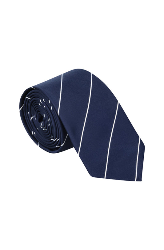 DAN TIE & LAPEL PIN - BLUE