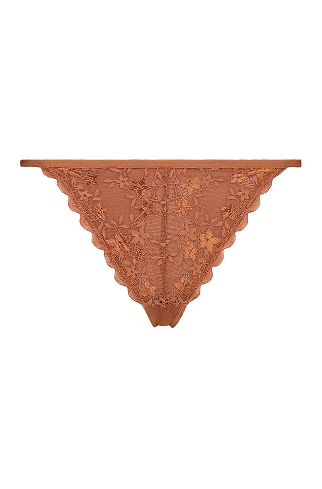 Jolie Meshlace Tanga _ 159641 _ Bronze