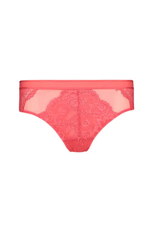 Dunns Clothing | Underwear | Velda Lace Brief _ 143059 Coral