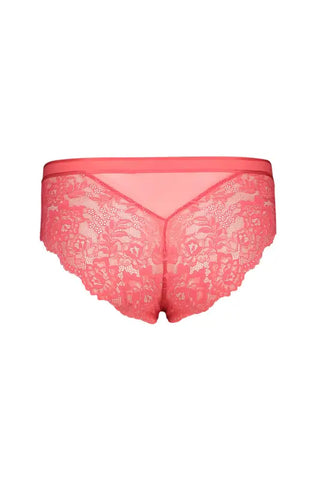 Dunns Clothing | Underwear | Velda Lace Brief _ 143059 Coral